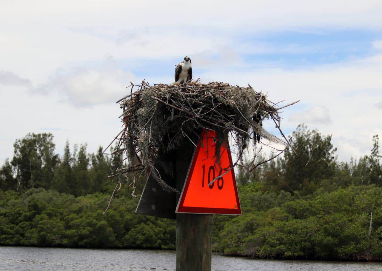 Things to do in Vero Beach Vero Tackle & Watersports