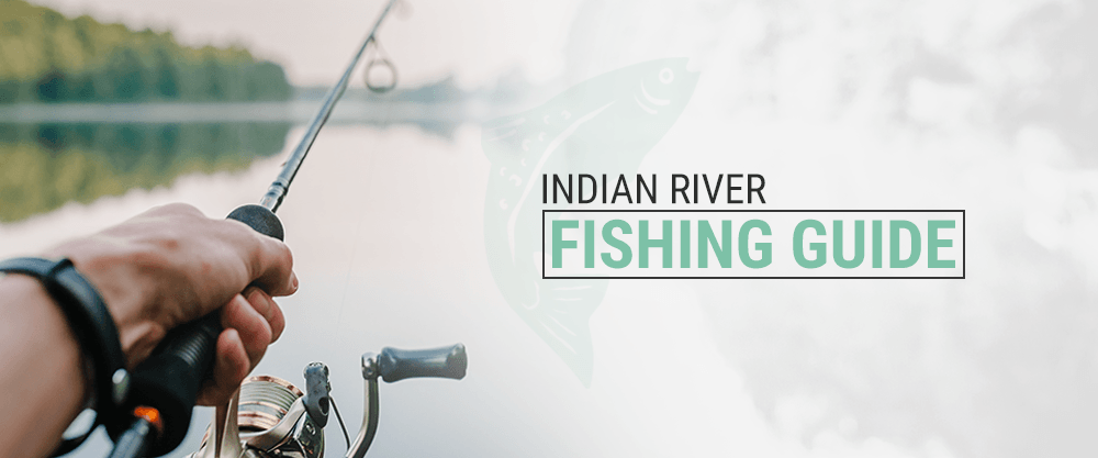 Indian River Fishing Guide
