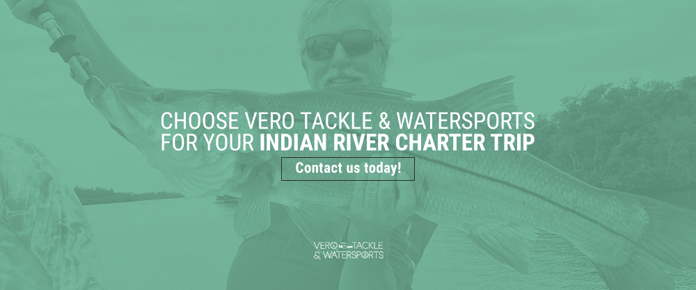 Choose-Vero-Tackle-&-Watersports-for-Your-Indian-River-Charter