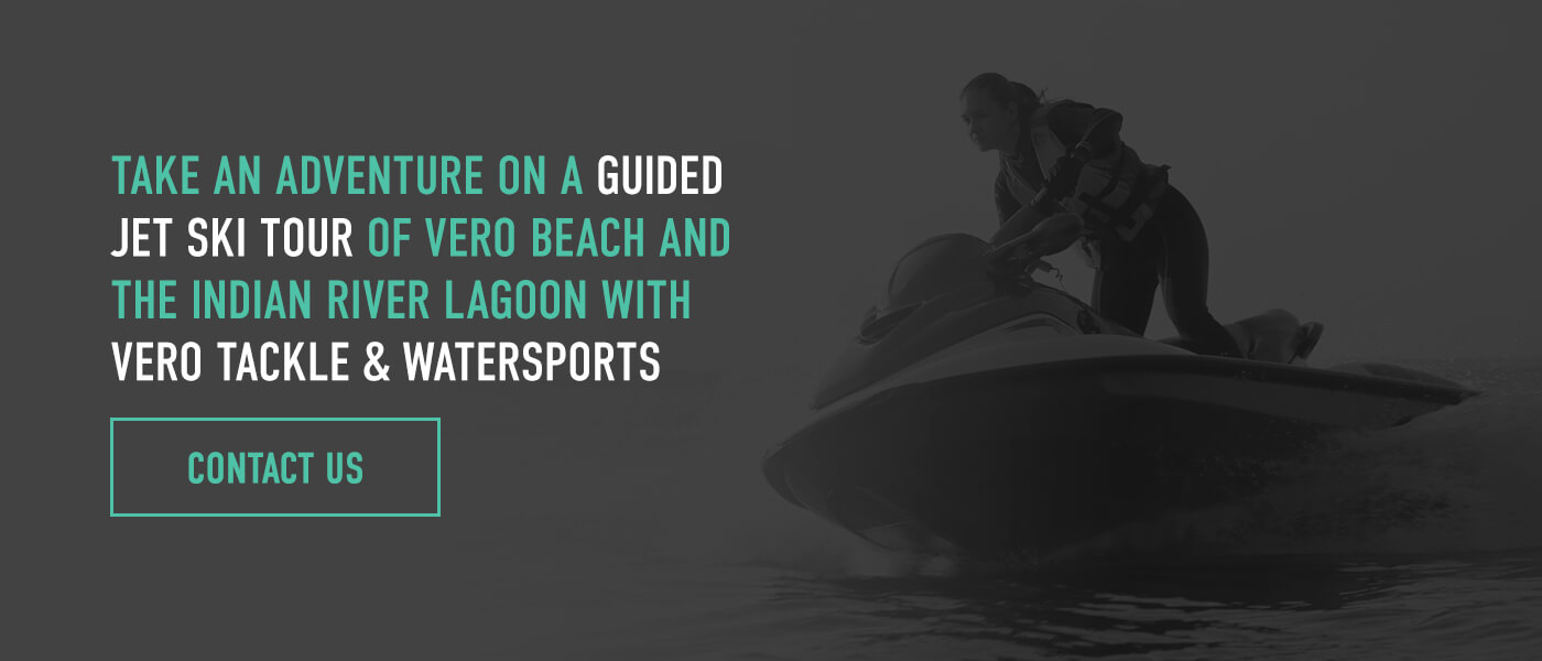 Take an Adventure on a Guided Jet Ski Tour of Vero Beach and the Indian River Lagoon