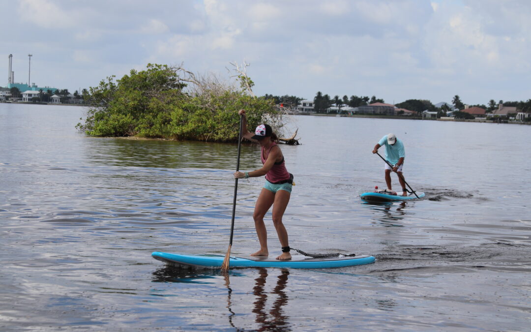 Paddle Dash 2025